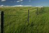 Prairie Fence.jpg